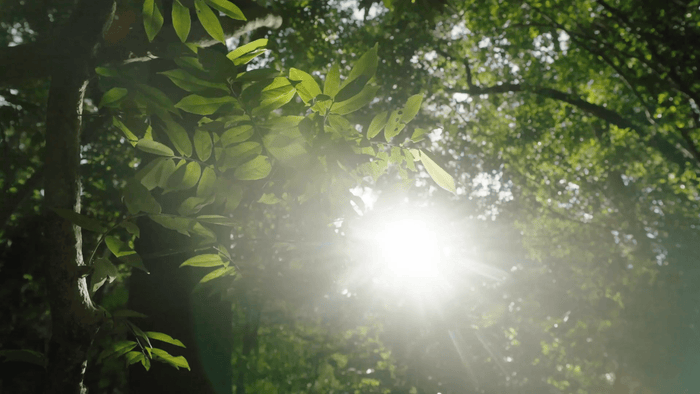 The Ultimate UV Protection Guide for Sunglasses - Lunessa